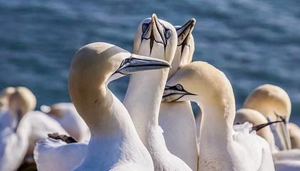 义乌高价上海医保提取2025的最新政策(2025年义乌上海医保怎么提取现金分享)