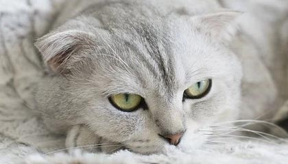 义乌高价上海医保提取2025的最新政策(2025年义乌上海医保怎么提取现金分享)