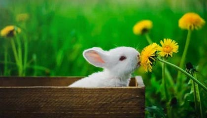 义乌高价上海医保提取2025的最新政策(2025年义乌上海医保怎么提取现金分享)